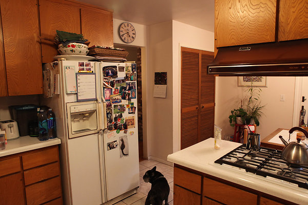 schiradosanrafael - 15 schiradosanrafael - 15