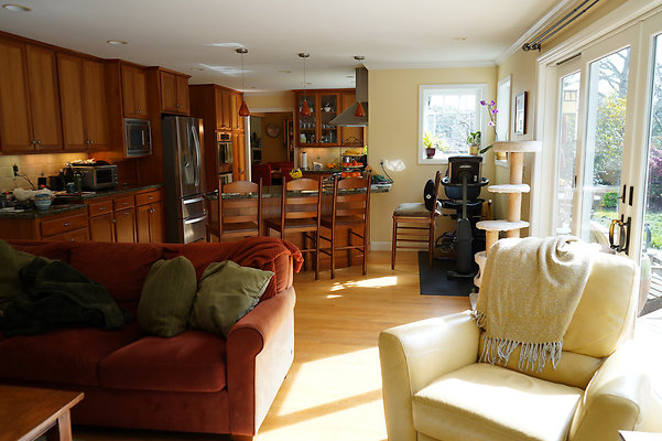 knightsanrafael - 14 knightsanrafael - 14