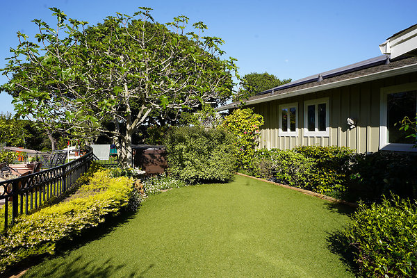 dellwoodsanrafael - 55