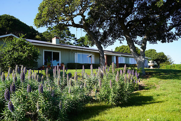 dellwoodsanrafael - 5