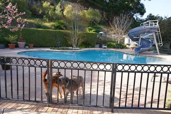 dellwoodsanrafael - 58