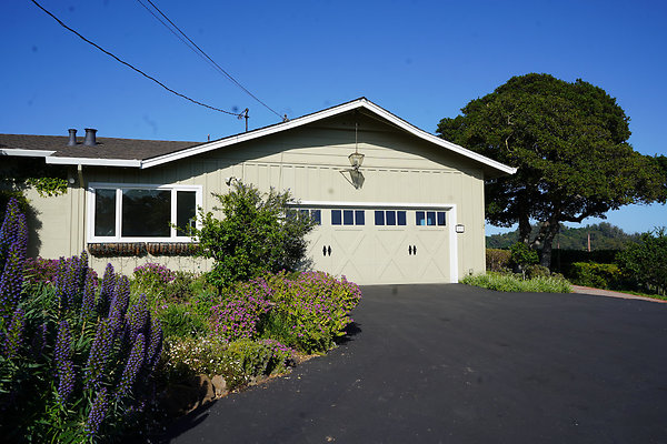 dellwoodsanrafael - 2