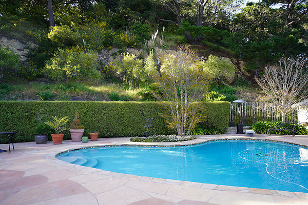 dellwoodsanrafael - 57