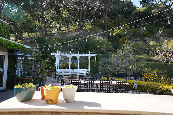 dellwoodsanrafael - 51