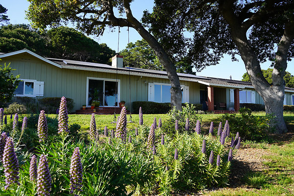 dellwoodsanrafael - 6