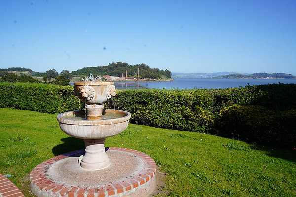 dellwoodsanrafael - 29