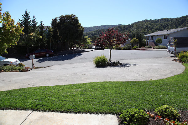 mcnearsanrafael - 2 mcnearsanrafael - 2