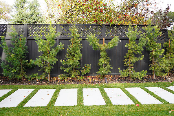 wilsonnovato - 29 wilsonnovato - 29