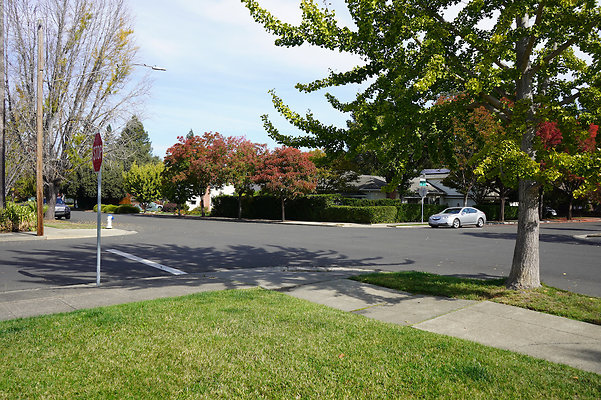 springsantarosa - 7 springsantarosa - 7