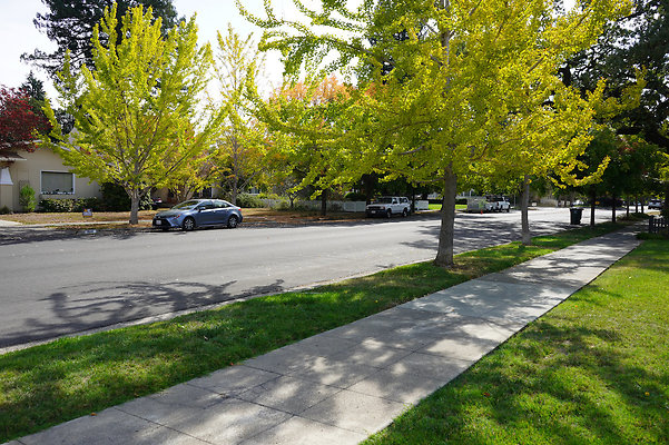 springsantarosa - 12 springsantarosa - 12