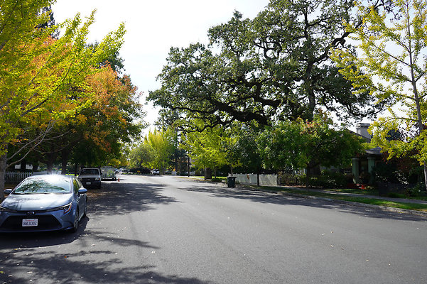 springsantarosa - 15 springsantarosa - 15