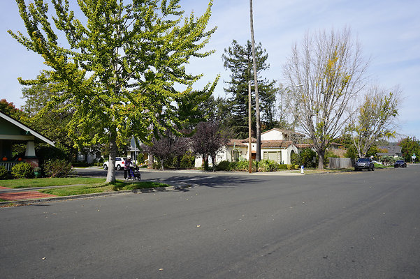 springsantarosa - 18 springsantarosa - 18