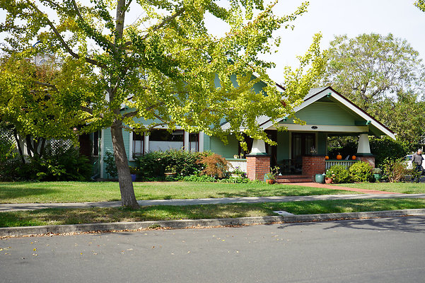 springsantarosa - 19 springsantarosa - 19