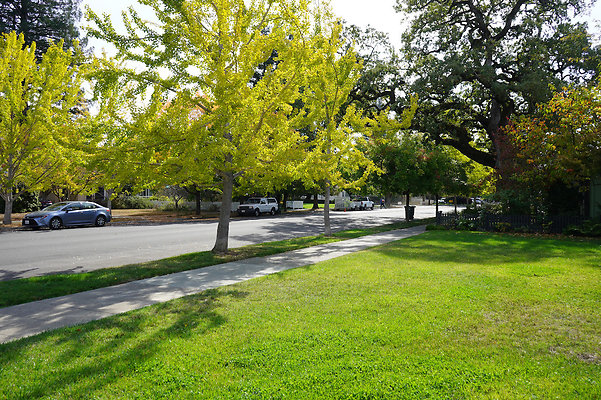 springsantarosa - 10 springsantarosa - 10