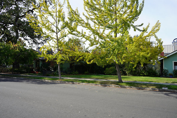 springsantarosa - 16 springsantarosa - 16