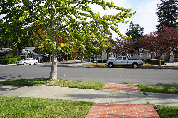 springsantarosa - 8 springsantarosa - 8