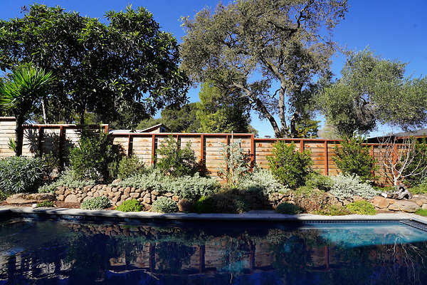 hirschpetaluma - 12 hirschpetaluma - 12