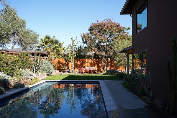 hirschpetaluma - 13 hirschpetaluma - 13