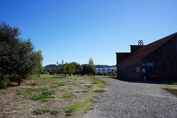 petalumariverpark - 8 petalumariverpark - 8