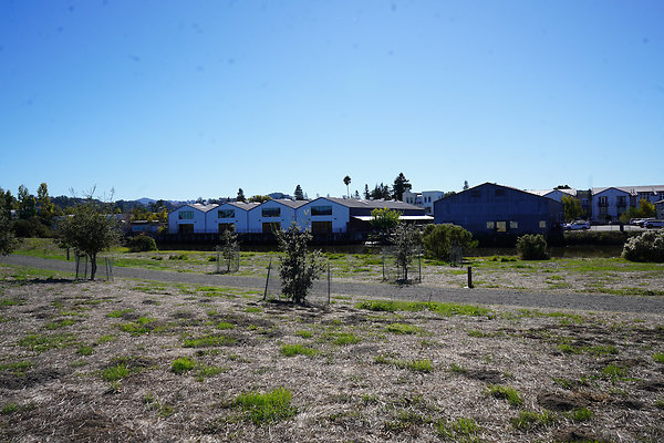 petalumariverpark - 19 petalumariverpark - 19