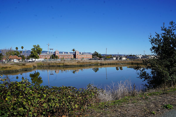 petalumariverpark - 5 petalumariverpark - 5