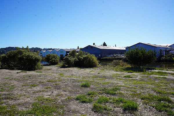 petalumariverpark - 14 petalumariverpark - 14