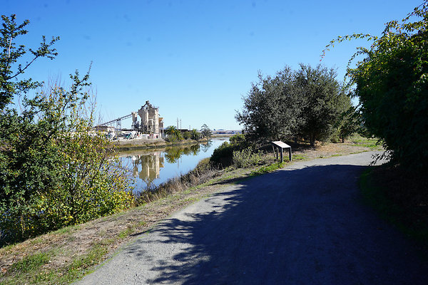 petalumariverpark - 6 petalumariverpark - 6