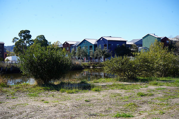 petalumariverpark - 16 petalumariverpark - 16