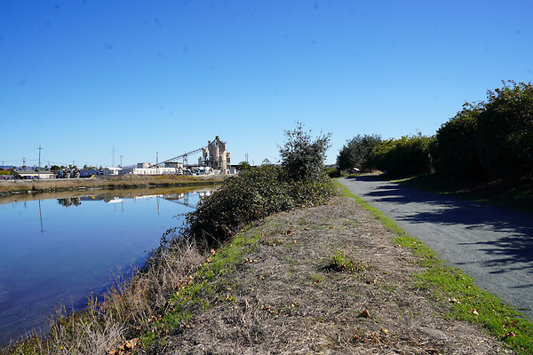 petalumariverpark - 30 petalumariverpark - 30