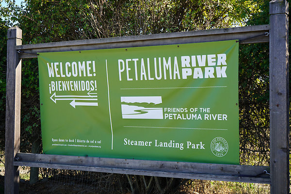 petalumariverpark - 3 petalumariverpark - 3