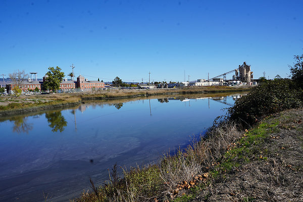 petalumariverpark - 29 petalumariverpark - 29