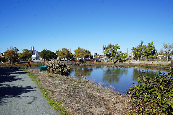 petalumariverpark - 27 petalumariverpark - 27