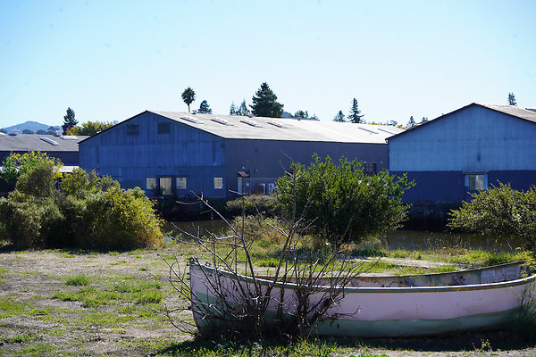 petalumariverpark - 13 petalumariverpark - 13