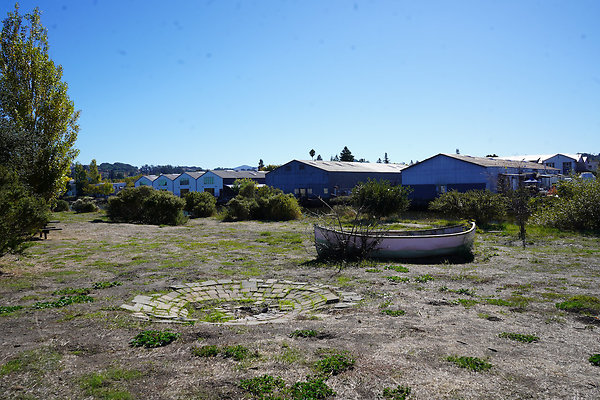 petalumariverpark - 12 petalumariverpark - 12