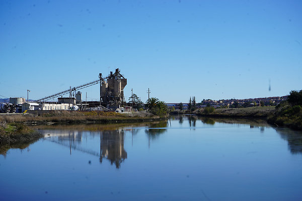 petalumariverpark - 2 petalumariverpark - 2