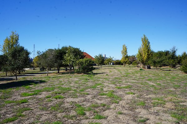 petalumariverpark - 20 petalumariverpark - 20
