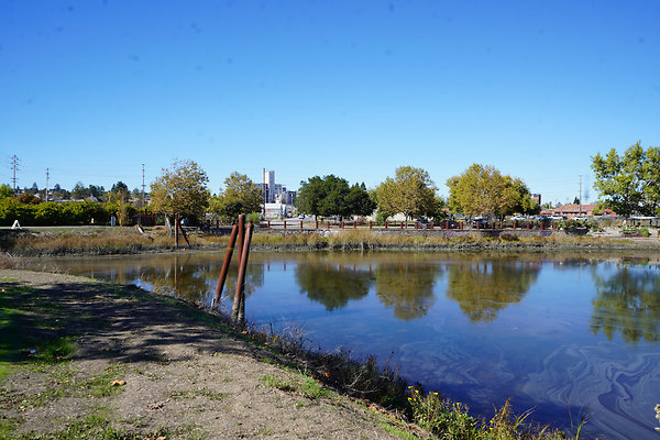 petalumariverpark - 31 petalumariverpark - 31