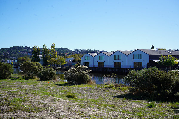 petalumariverpark - 18 petalumariverpark - 18