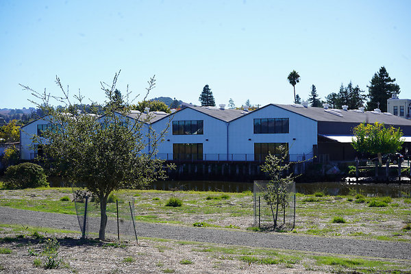 petalumariverpark - 23 petalumariverpark - 23