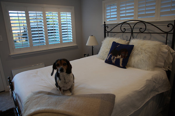 grosse2santarosa - 29 grosse2santarosa - 29