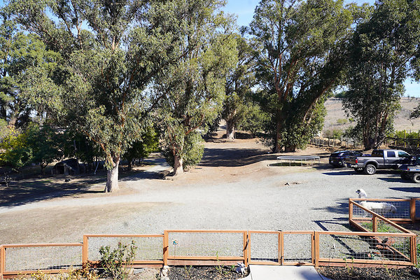 patrickpetaluma - 35 patrickpetaluma - 35