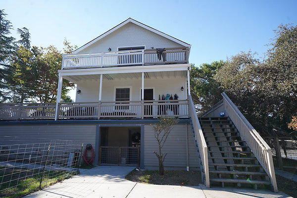 patrickpetaluma - 3 patrickpetaluma - 3