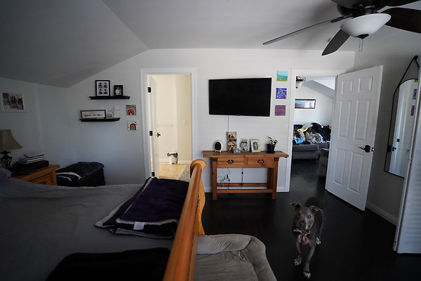 patrickpetaluma - 26 patrickpetaluma - 26