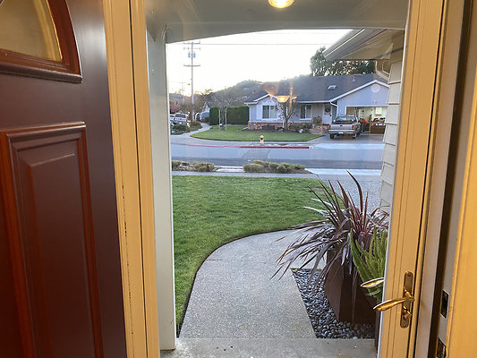 goldencortemadera - 4 goldencortemadera - 4