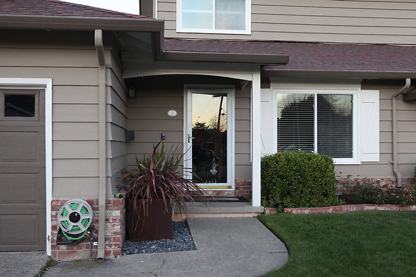 goldencortemadera - 3 goldencortemadera - 3