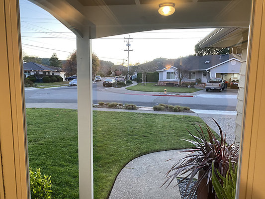 goldencortemadera - 5 goldencortemadera - 5