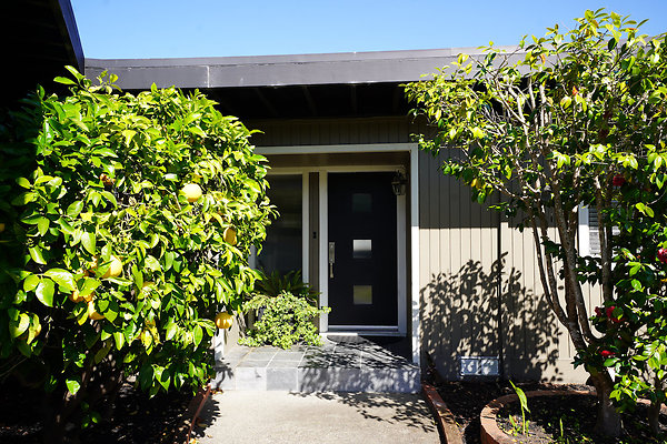 arrowheadcortemadera - 4 arrowheadcortemadera - 4