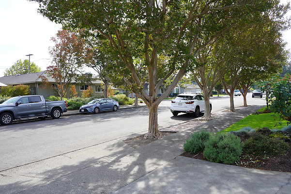 grossesantarosa - 17 grossesantarosa - 17