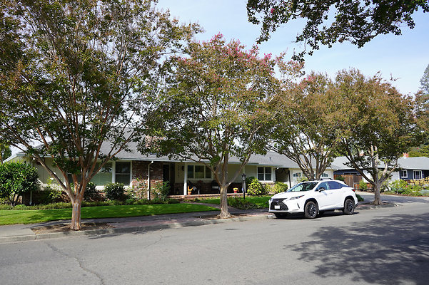 grossesantarosa - 19 grossesantarosa - 19