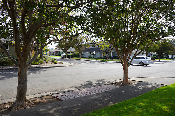 grossesantarosa - 7 grossesantarosa - 7